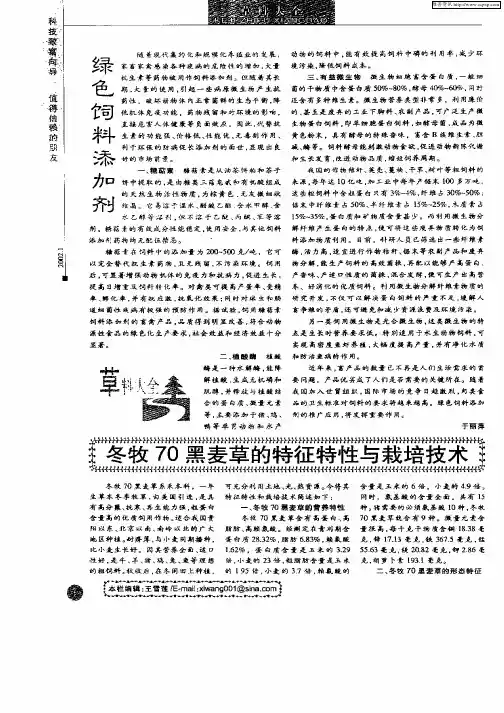 冬牧70黑麦草的特征特性与栽培技术