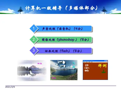 计算机一级辅导多媒体部分PPT课件