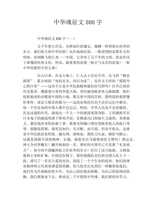 中华魂征文800字