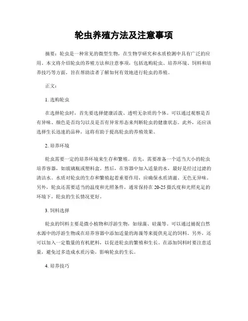轮虫养殖方法及注意事项