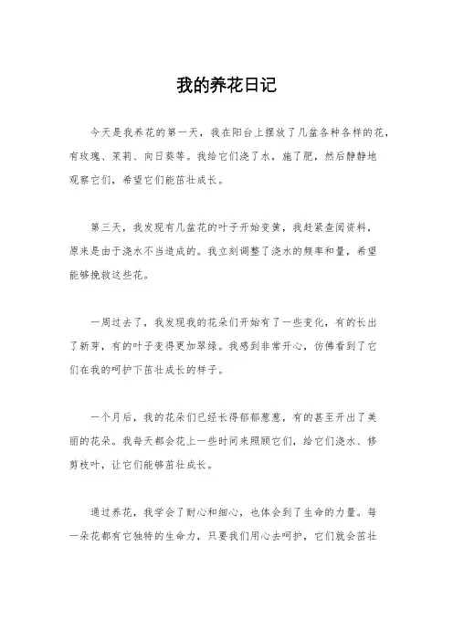 我的养花日记