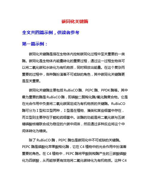碳同化关键酶