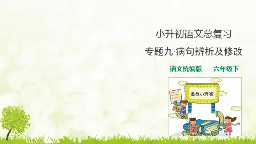 部编版小升初语文总复习课件专题九 修改病句