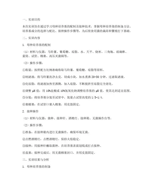 母种培养基实训报告