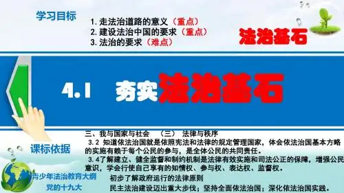 人教版《道德与法治》九年级上册4.1《夯实法治基石》课件(共24张PPT)