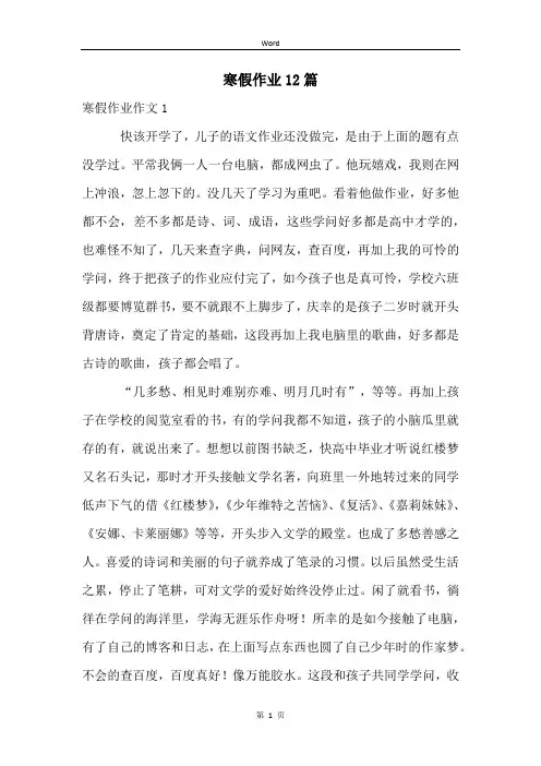 寒假作业12篇