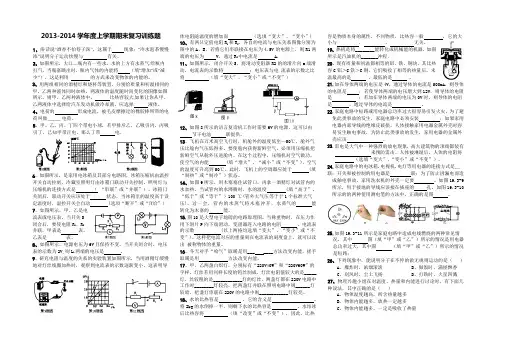 2013-2014年新人教版九年级上物理期末复习试题