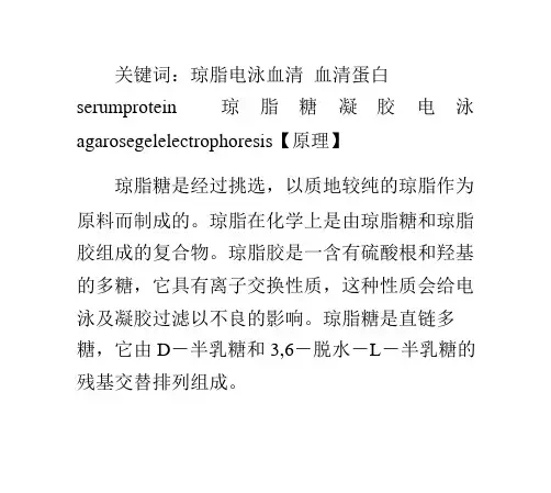血清蛋白(serumprotein)琼脂糖凝胶电泳