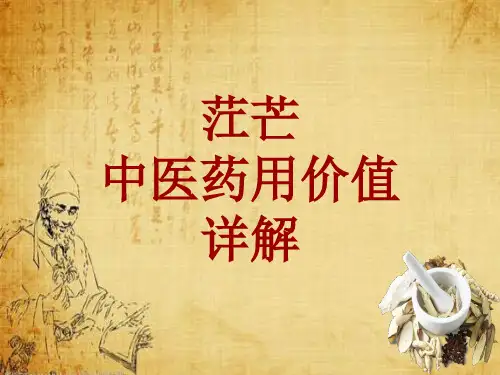 中药学_茳芒_药材详解课件模板_性味