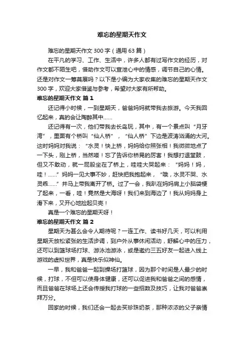难忘的星期天作文