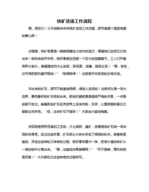 铁矿选场工作流程