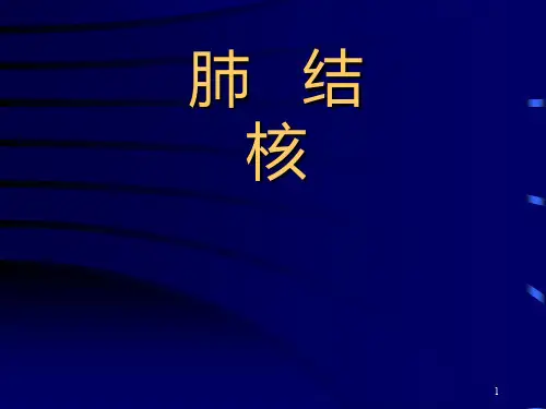 肺结核基本介绍PPT课件