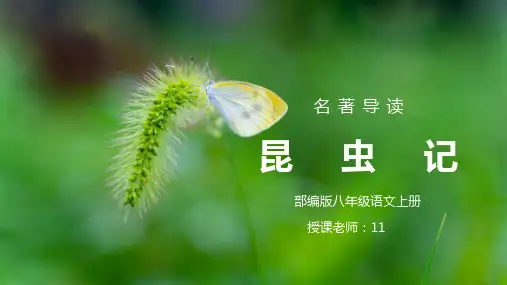 部编版八年级语文上册名著导读《昆虫记》PPT课件