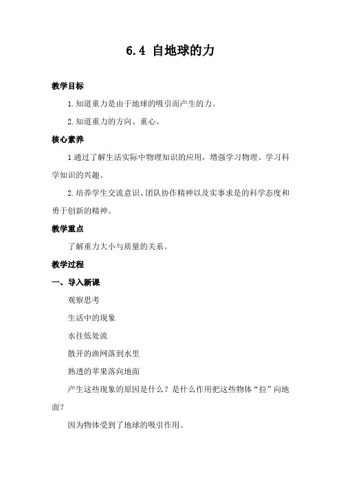 6.4 自地球的力 教案- 沪科版物理八年级全一册 