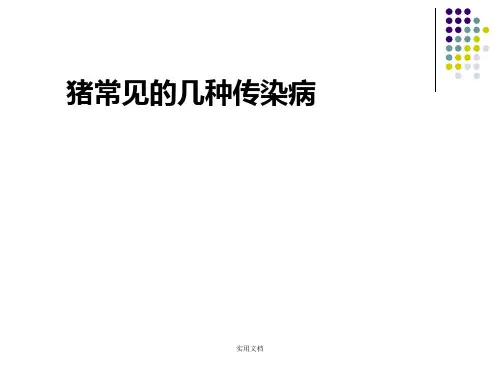 猪常见的几种传染病