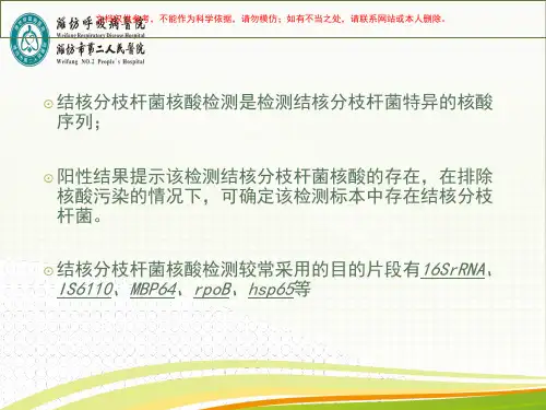 结核分枝杆菌的核酸检测课件