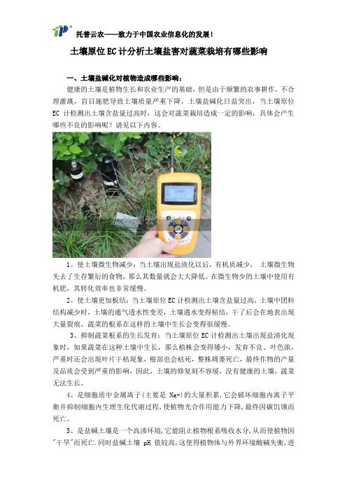 土壤原位EC计分析土壤盐害对蔬菜栽培有哪些影响