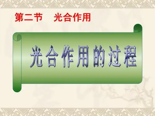 人教版教学课件[高中生物]必修一光合作用的过程新