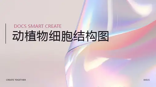 动植物细胞结构图