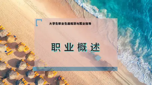 职  业 概 述