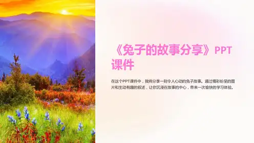 《兔子的故事分享》课件