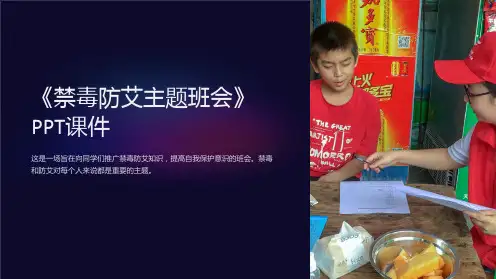 《禁毒防艾主题班会》课件