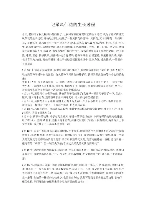 记录凤仙花的生长过程