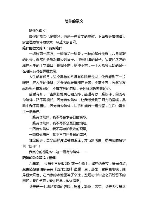 陪伴的散文