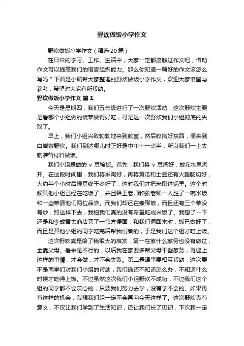 野炊做饭小学作文（精选20篇）