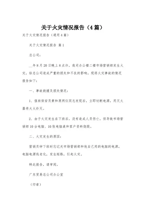 关于火灾情况报告(4篇)