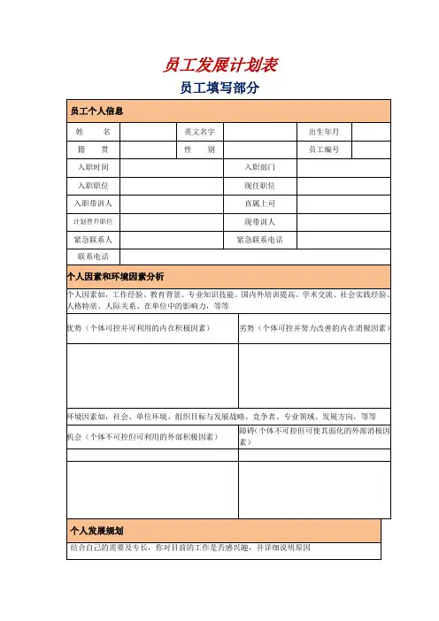 员工发展计划表