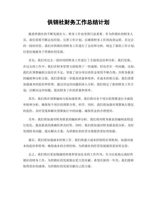 供销社财务工作总结计划
