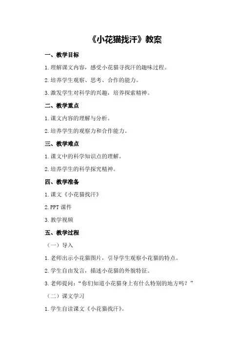 《小花猫找汗》教案