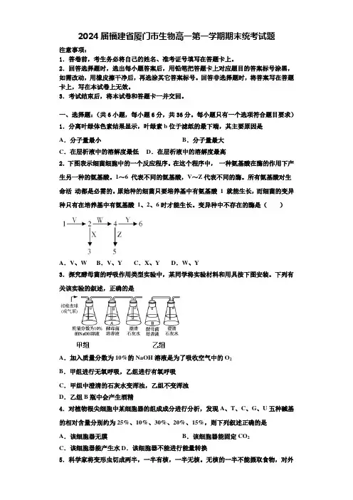 2024届福建省厦门市生物高一第一学期期末统考试题含解析