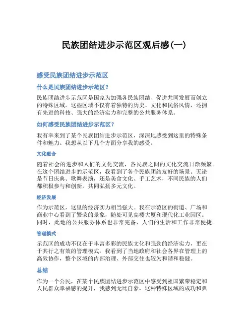 民族团结进步示范区观后感(一)
