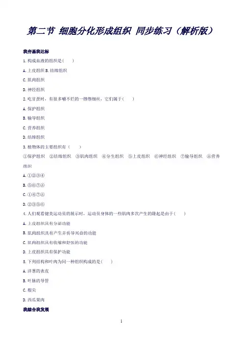 冀教版.七年级生物上册同步练习：1.2.2《细胞分化形成组织》(习题2带答案)