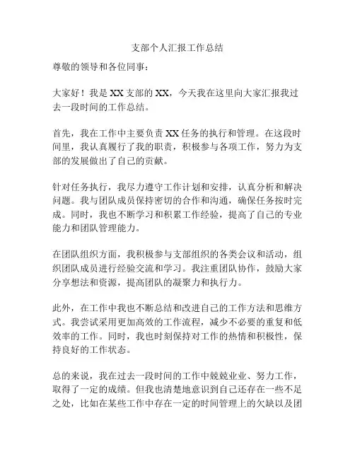 支部个人汇报工作总结
