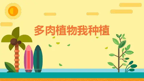 第10课 多肉植物我种植(课件)(共18张PPT)鄂教版劳动二年级上册