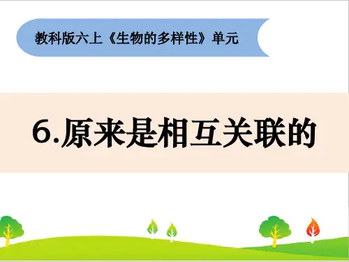 最新教科版六年级上册科学《原来是相互关联的》教学课件