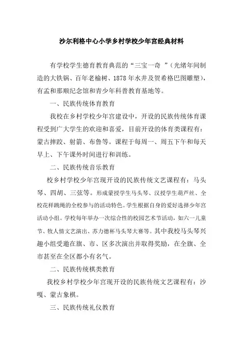 沙尔利格中心小学乡村学校少年宫经典材料