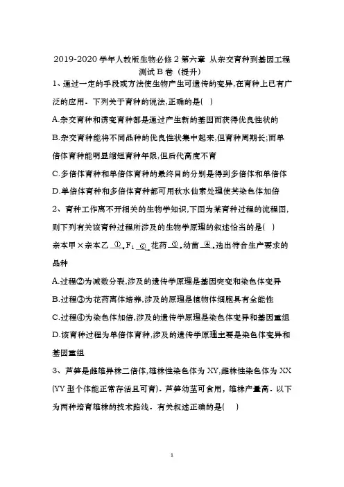 【同步检测】2019-2020学年人教版生物必修2第六章 从杂交育种到基因工程 测试B卷(提升)