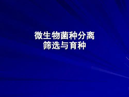 微生物菌种筛选与分离
