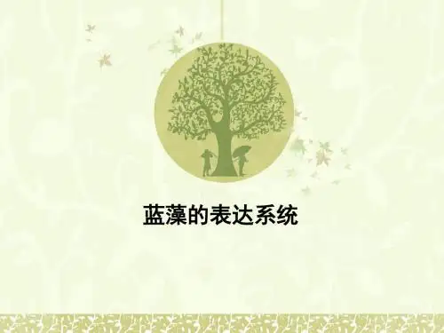 基因工程