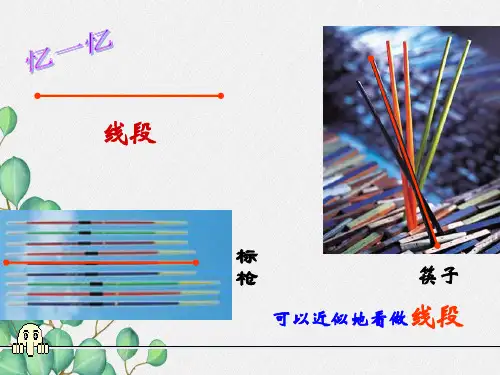 《线段、射线和直线》PPT课件 (公开课)2022年浙教版 (5)