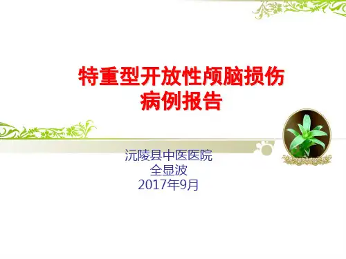 重型开放性颅脑损伤病例报告