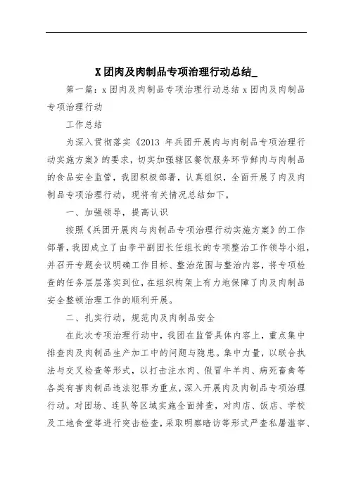 X团肉及肉制品专项治理行动总结_