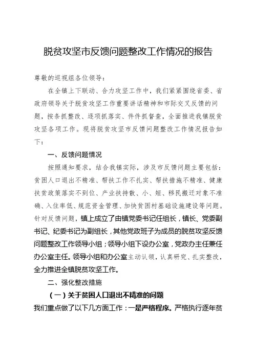 脱贫攻坚市反馈问题整改工作情况的报告