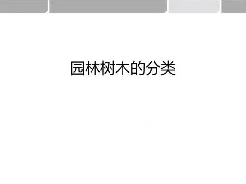 园林树木分类