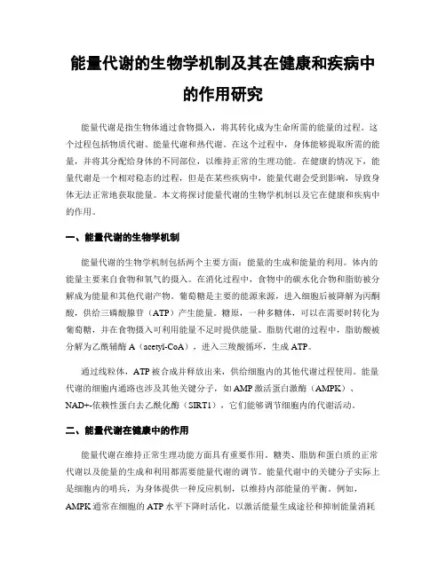 能量代谢的生物学机制及其在健康和疾病中的作用研究