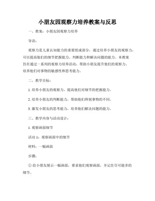 小朋友园观察力培养教案与反思